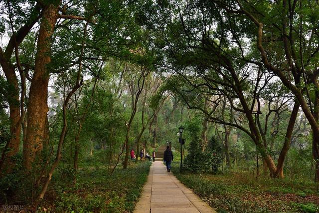 全部免费！周末安排！绍兴值得一去的6大景点，不花钱随便玩！