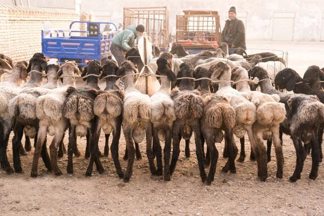 中国最西端的一座城，玉石般的地方——超全新疆喀什旅游攻略