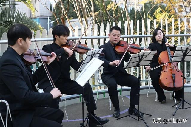 赏杏观鸥季 | 五华区这场银杏树下的城市音乐会快闪，太浪漫了