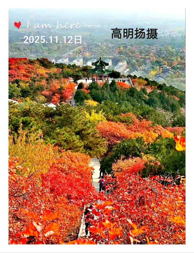 拍红枫叶，不用东奔西跑，一般人我不告诉他。