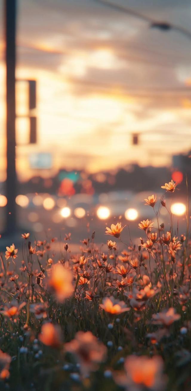 #我们一起看最美的自然风景