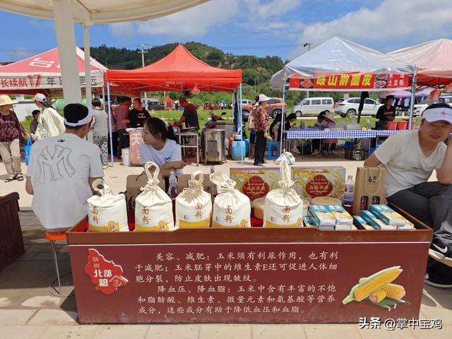 陇县河北镇:荞麦花海映初心 万亩花海促振兴
