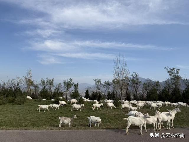 轻松开车看山景：有蓝田这条最美“山景路”，就没环山路什么事了