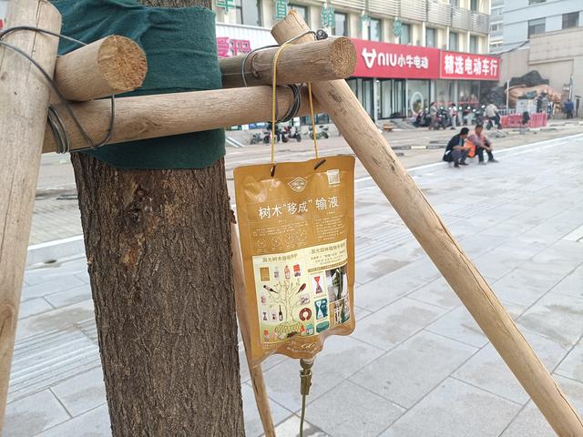 太原新建路改造拆撤围挡，挂城楼路标镶凹槽侧石，金箍棒华灯亮相