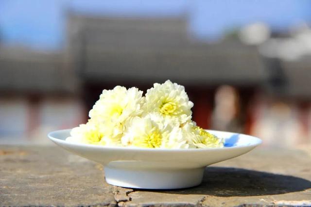 秋日限定！歙县黄山贡菊惊艳上线，邂逅山野绝美盛景 | 皖美冬日 | 第十五届安徽国际文化旅游节