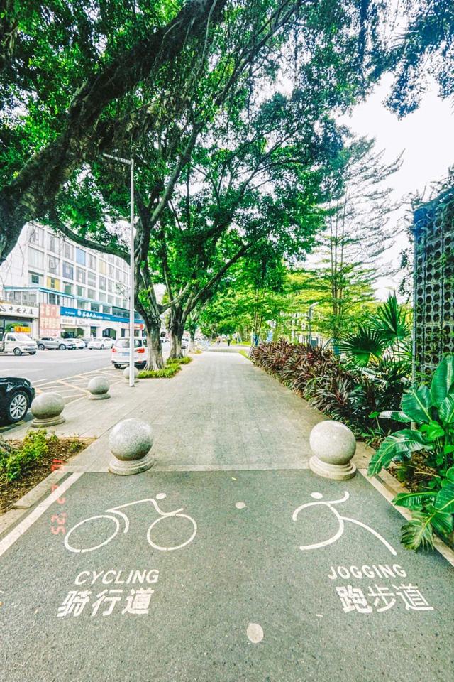 车轮丈量东江“最美身段”！东莞“三江六岸”成十五运会骑行热地