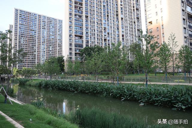 实拍江苏苏州昆山花桥梅浦河海绵城市公园，“会呼吸”的绿地