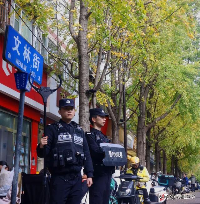 【警景相随.平安冬鸥】杏黄鸥舞待君来，平安守护提前行！