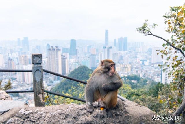 中国唯一没有平原的省，究竟有多“邪修”？贵州的山水过于惊艳