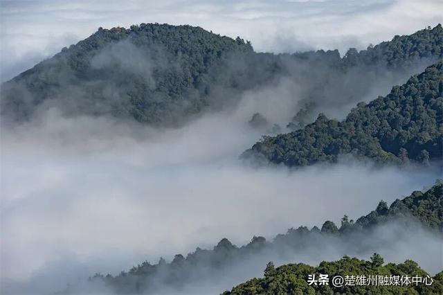 不限次入园！楚雄一景区门票年卡、优惠卡正在办理🤩