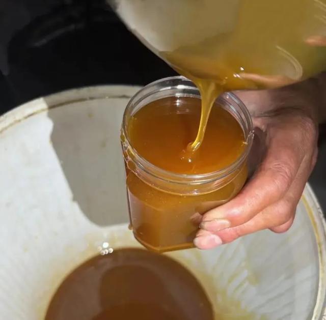 世界自然遗产、物种基因库、北纬31°绿色奇迹——神农架旅游攻略