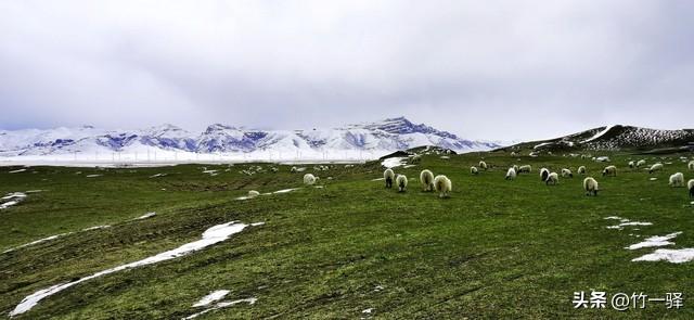 青海布哈河湿地：青海湖的母亲河