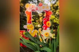魔都新春玩法持续升级，花样体验不打烊！图片