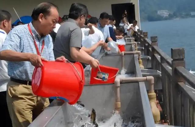 中国改名最“成功”的湖泊,改名前叫水库,改名后家喻户晓