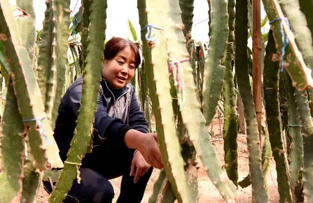 运城周末遛娃天花板！亲子采摘甜翻时光～