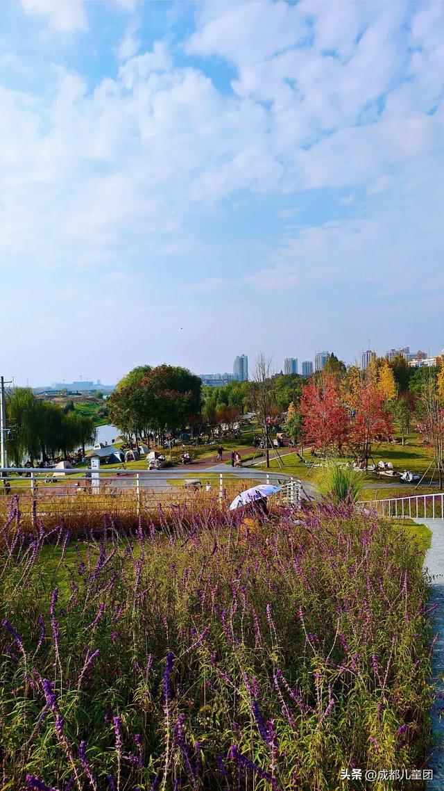 成都公园地图丨晒太阳不打挤的20个公园,东南西北全覆盖