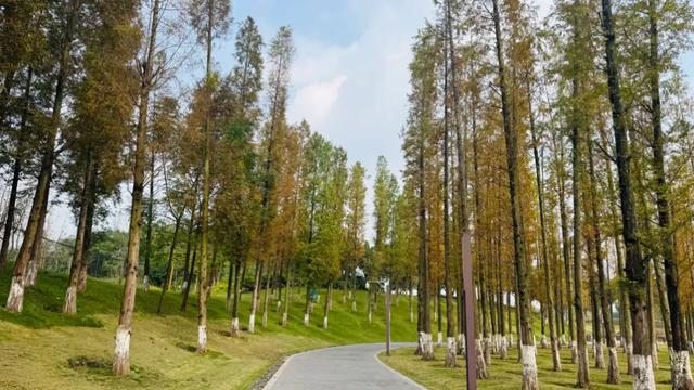 周末晒太阳！这几地有湖水+草坪+1h可达