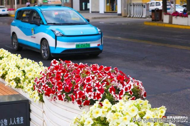 临夏市：一座把“浪漫”写进马路牙子的城市
