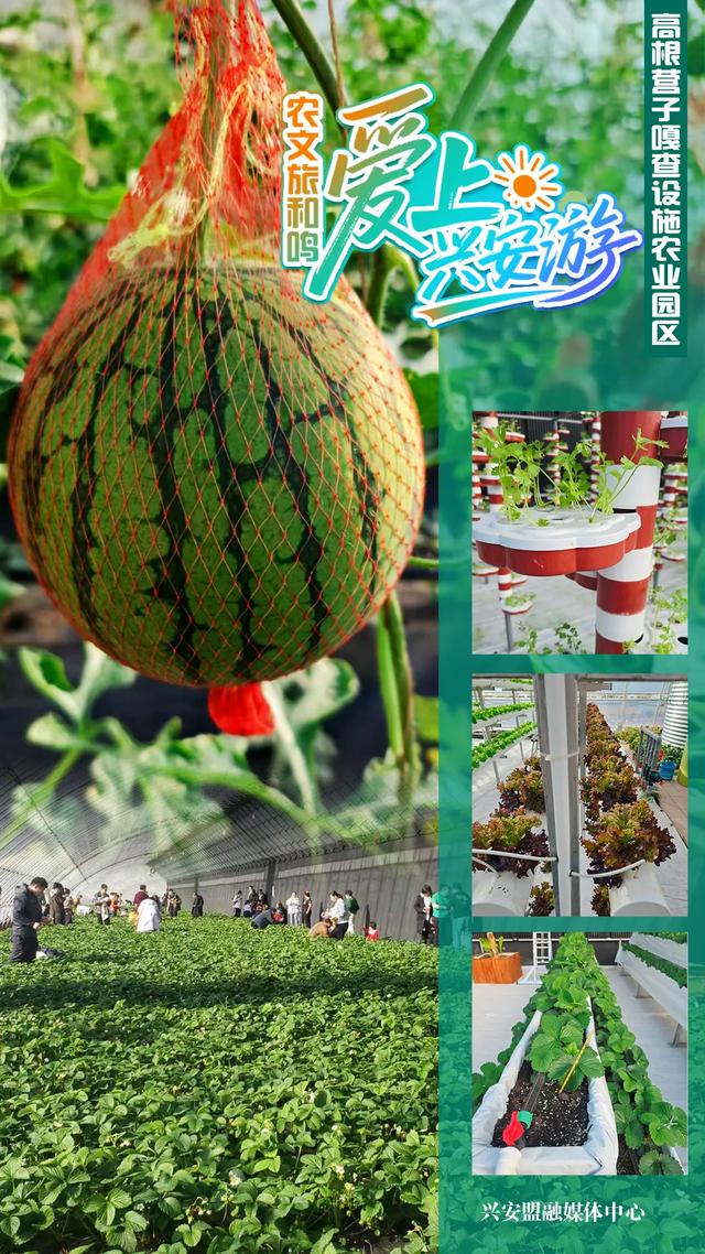 乌兰浩特农文旅近郊漫游指南 | 一种心情，N种打开方式！