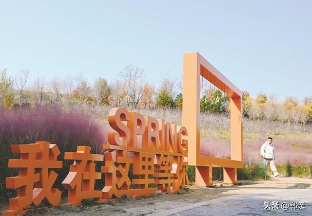 美在邯郸丨初冬的紫山