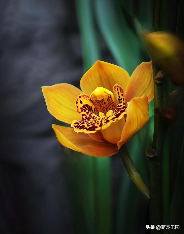 摄影追求清爽感，高手走减法路线	，果断舍弃刺眼元素