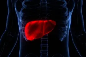 腰身乏力，根本使不上力，这四种中成药助你肝肾同调！图片