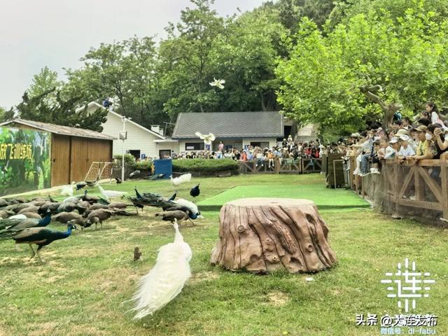 大连将举办多场演唱会！听着歌，游美丽大连！