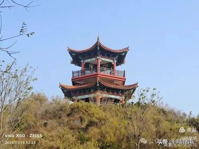 苇风载秋,鹤影映波——河北黄骅南大港湿地的初冬漫游| 申艳娟