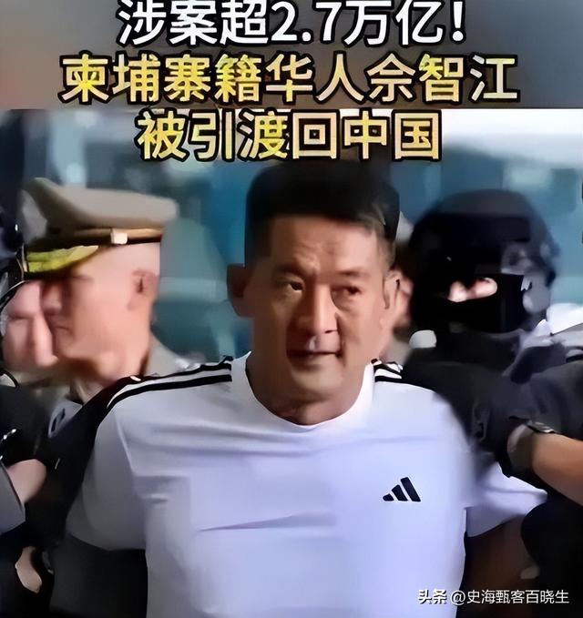 拔出萝卜带出泥！49岁赵薇近况被曝，原来圈内封杀只是冰山一角