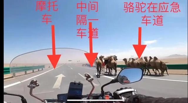 青海牧民"社会性死亡"：掌掴游客，过往黑历史被扒，不止一次嚣张