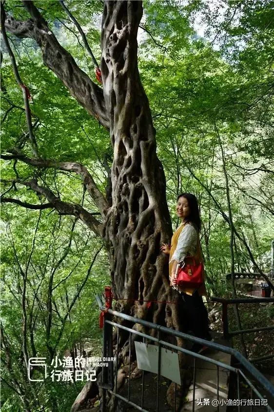 西安自驾1小时，有个秦岭奇观很神奇！冷门还免费，你去过吗