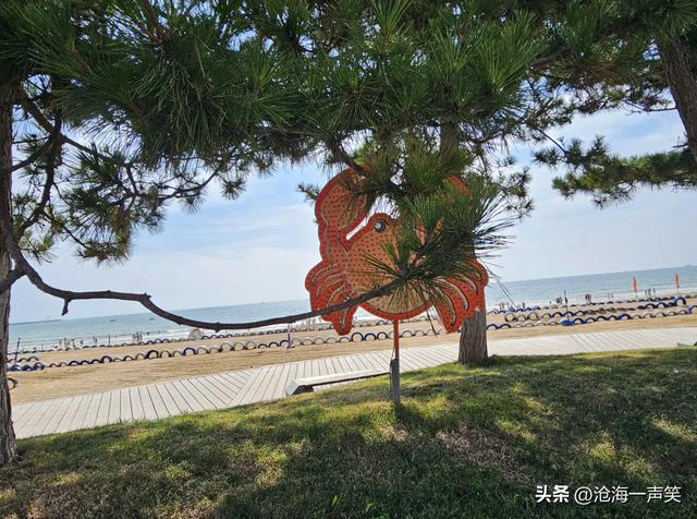 海边的宁静与喧嚣，宁静的是颗平静的心，喧嚣的是颗热闹的心