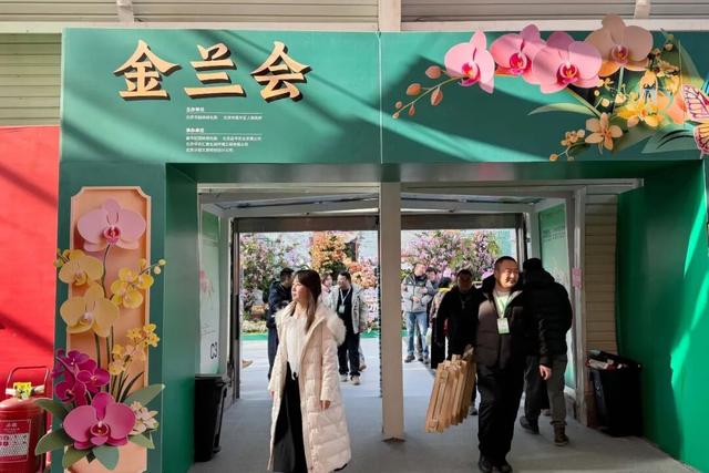 来逛超大冬日花果游园会，2026北京兰花文化嘉年华在昌平开幕 | 动态