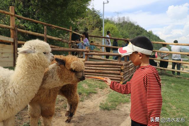 清水：奔赴尖山秦营 邂逅诗意与远方