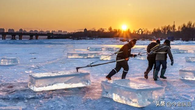 12月旅行去哪？这四季同框攻略，让你玩转冰雪、赏秋、寻花、避寒