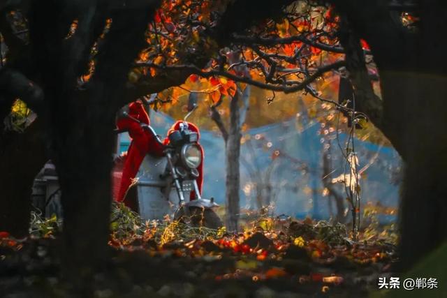 魏县:一卷斑斓 满城诗意