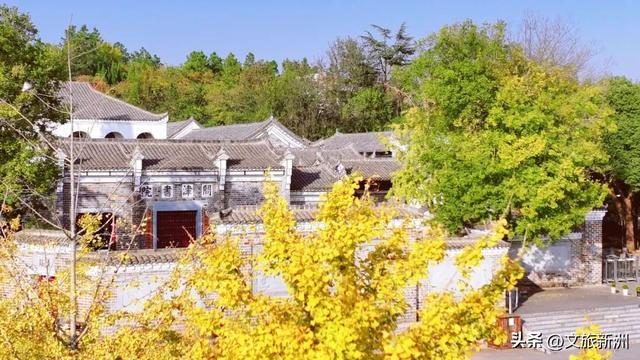 红枫公路、孤独的树......新洲这波秋日「隐藏款」，你知道几个？