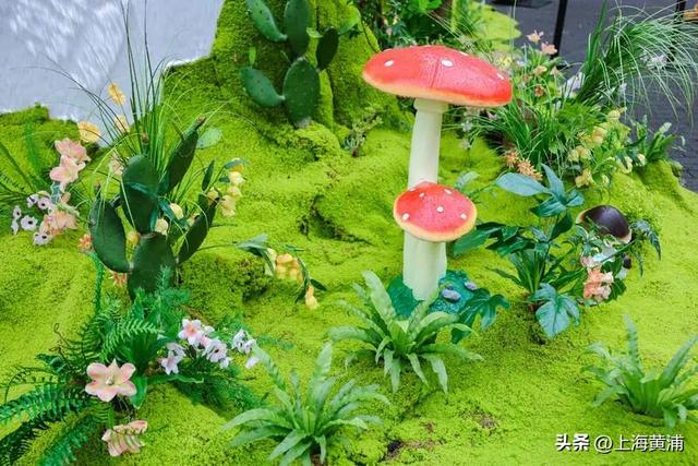 多图！一场跨越8天的光影森林“派对”已在黄浦滨江开启，大人小孩萌宠都能玩嗨！