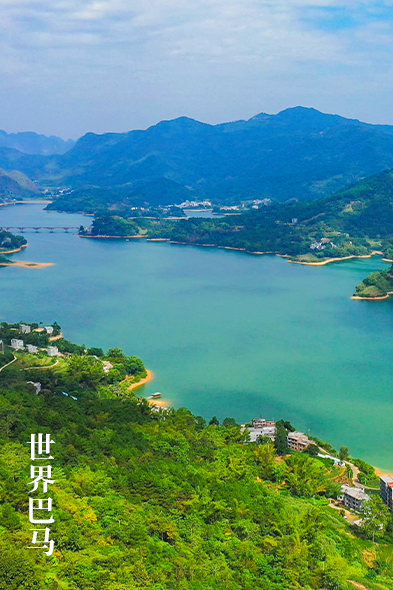 广西巴马县历史沿革及行政区划