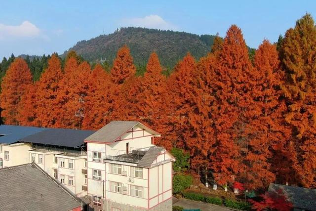 这个秋天来坪坝营，把日子过成童话！