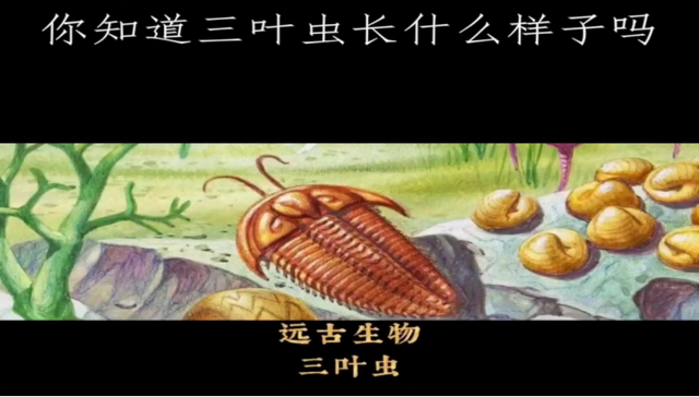别只看风景！来这里，当一次“地球时光侦探”