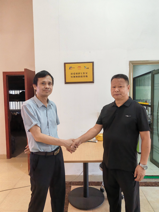 慧淘金、深爱榜、深圳课工厂录制基地：创新融合，激发品牌协同