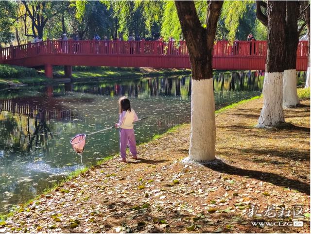 采莲河畔好风光