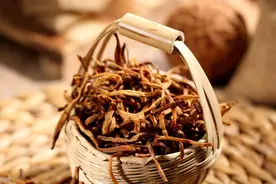 虫草花：中医圈里的 “养生小能手”图片