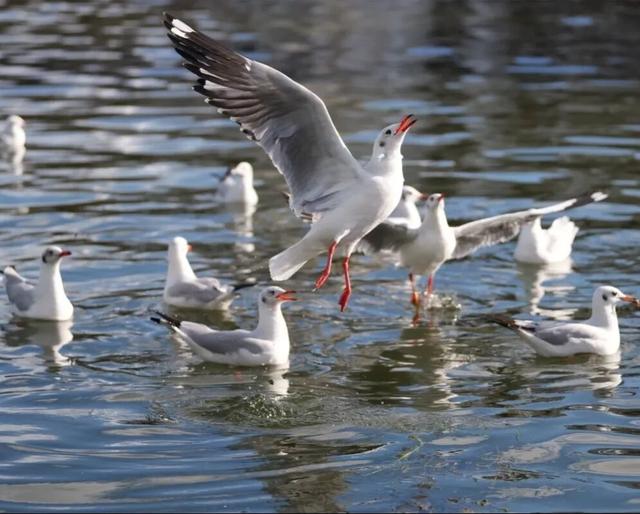 冬天在大理，要做这10件事！