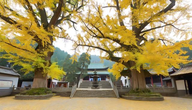 江西秋色藏不住！这8处红叶秘境惊艳了整个秋天！