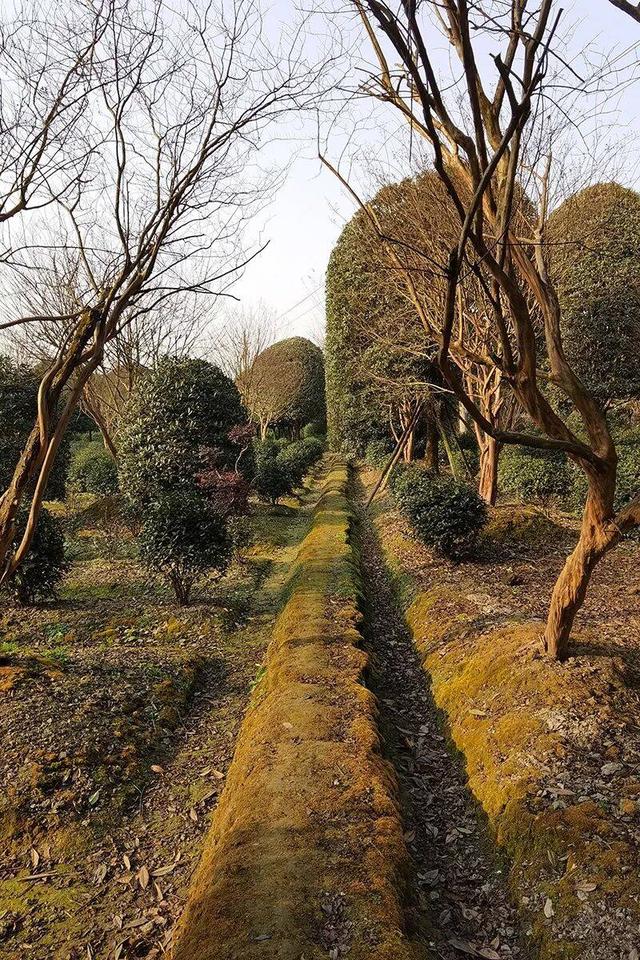 【历史文化】川西第一祠——温江吴家场‖徐平