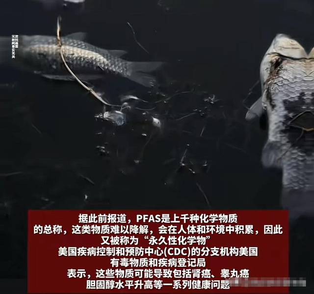 轰动国际！日本全国大范围检出致癌物 全国沦陷，产品出口或将碰壁