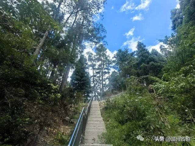 这个凭借21℃的天然清凉悄然“出圈”的森林小镇，别具异域风情！
