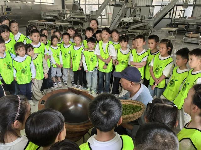 来镇巴楮溪源景区，解锁你的超酷假期！